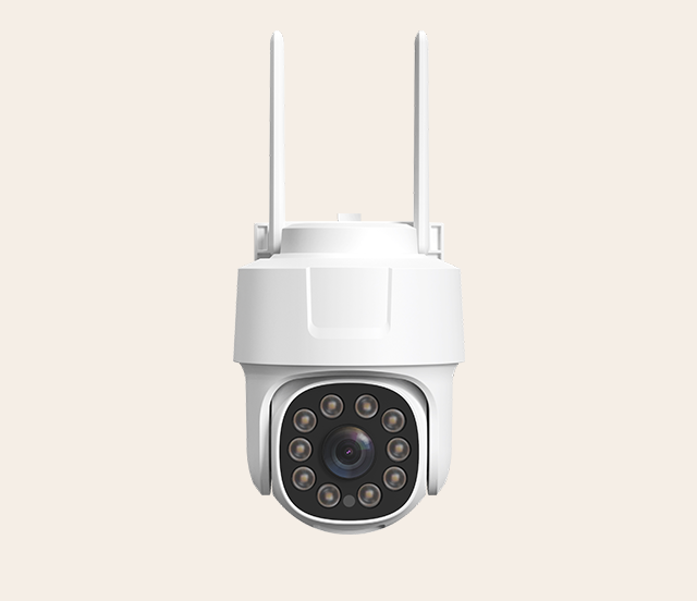 Wireless Pan&Tilt IP Outdoor Camera